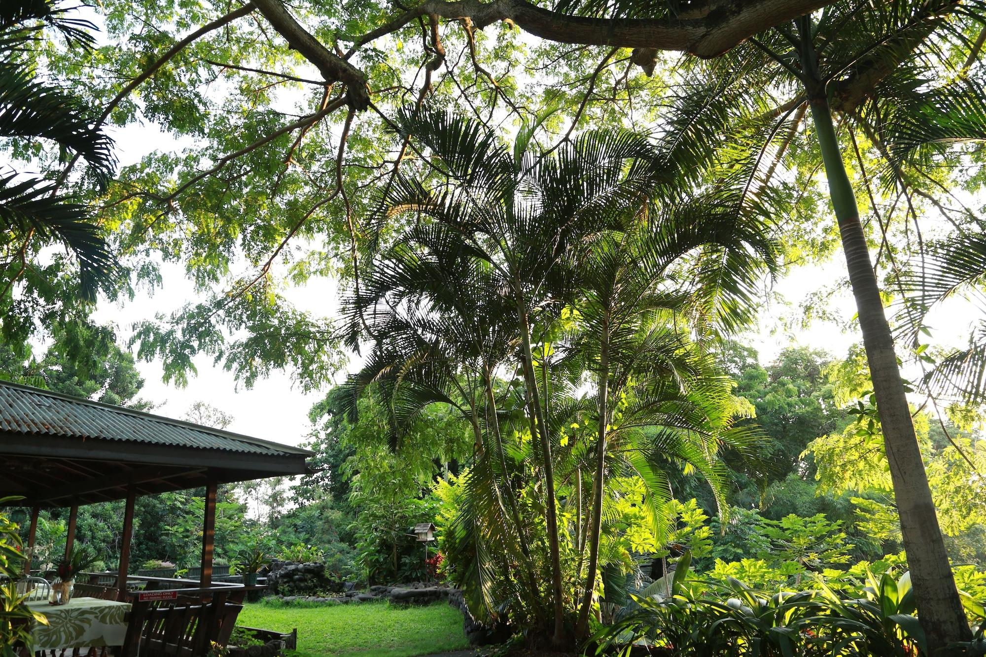 Hale Maluhia Country Inn Kailua-Kona Zewnętrze zdjęcie